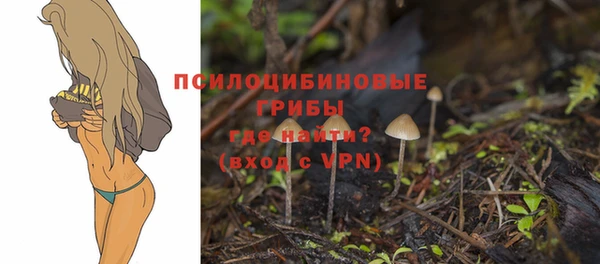 круглые Абаза