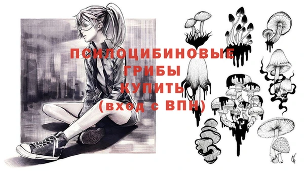 твердый Абинск