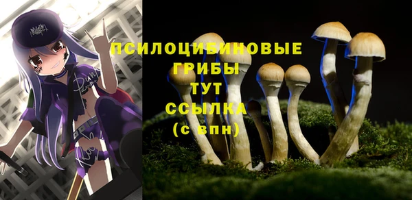 a pvp Протвино
