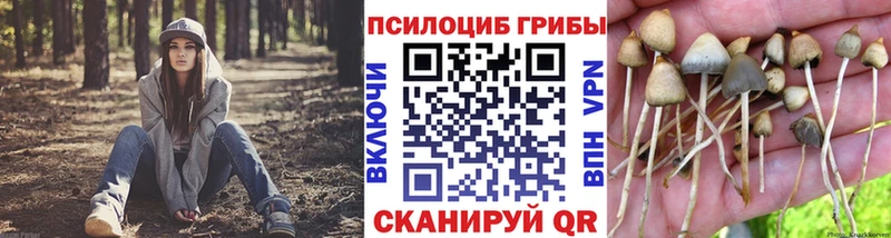 Галлюциногенные грибы GOLDEN TEACHER  дарнет шоп  Знаменск 