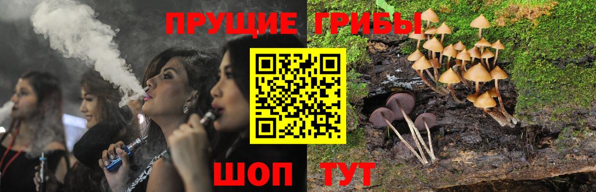 Псилоцибиновые грибы GOLDEN TEACHER  Галлюциногенные грибы Psilocybine cubensis  Знаменск  купить   Вход с VPN 