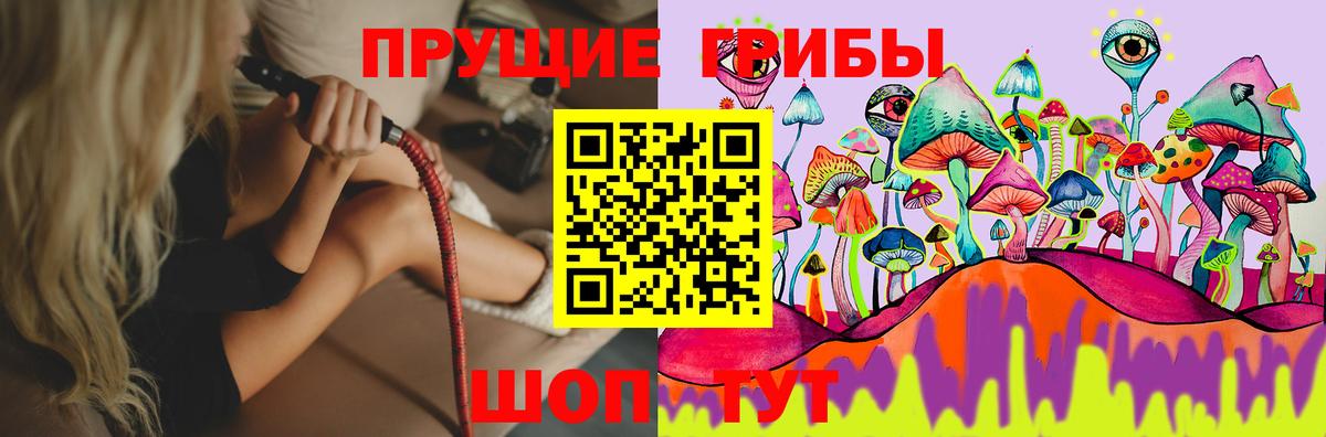 Псилоцибиновые грибы Psilocybe Знаменск